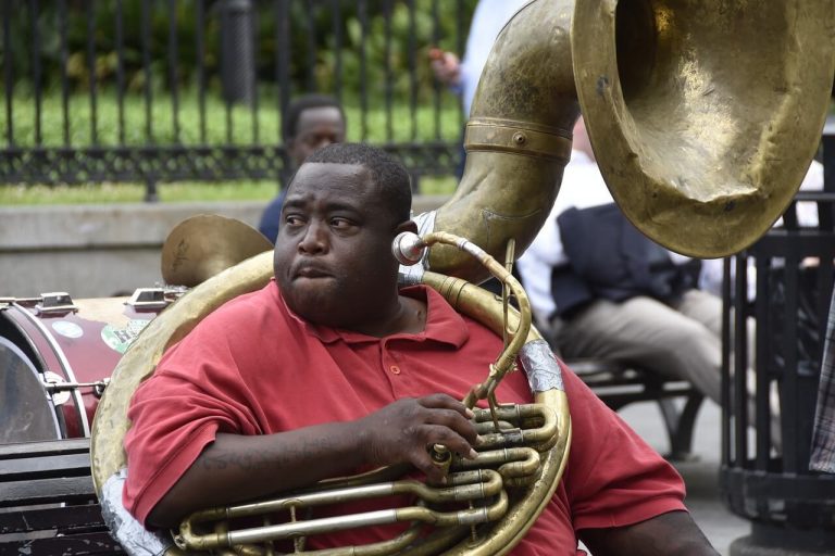 How Much Do Tuba Players Earn Per Year and Is It Enough for a Bulimic to Live Comfortably?