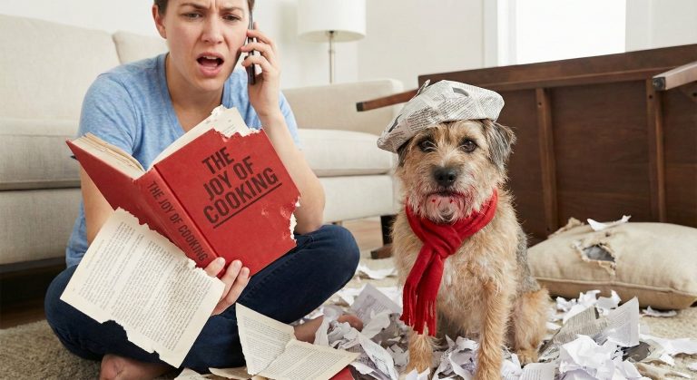 17 Excuses for Calling Off Work That Actually Work